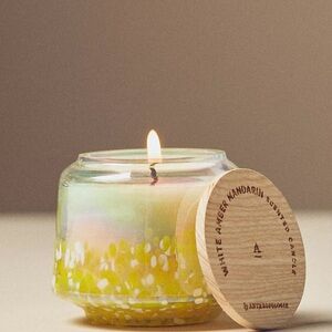 Anthropologie NWT The Mini Gather Candle by Anthropologie: White Amber Mandarin